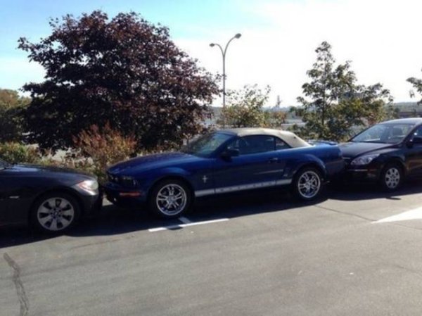 &nbsp;&nbsp;Снимка: izismile