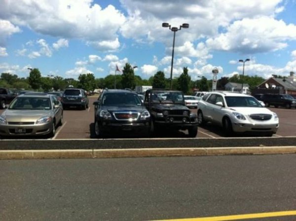 &nbsp;&nbsp;Снимка: izismile