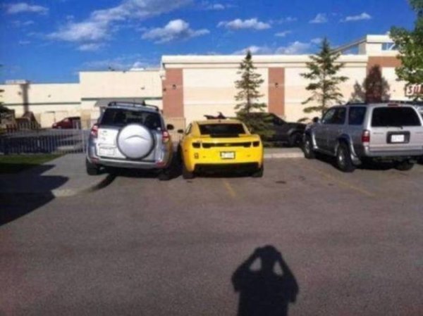 &nbsp;&nbsp;Снимка: izismile