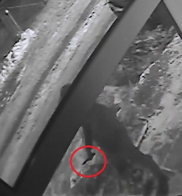 Снимка: Dnes.bg