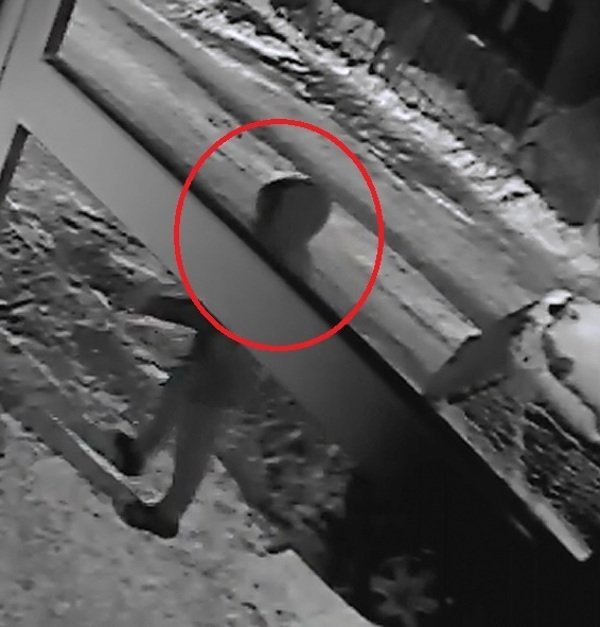 Снимка: Dnes.bg