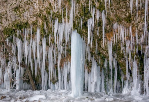 &nbsp;&nbsp;Снимка: Булфото