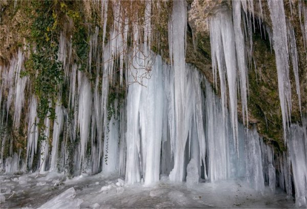 &nbsp;&nbsp;Снимка: Булфото