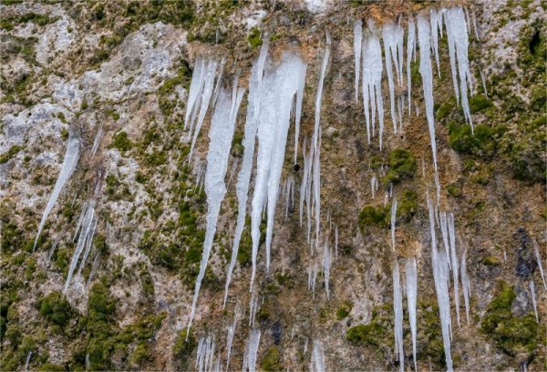 &nbsp;&nbsp;Снимка: Булфото