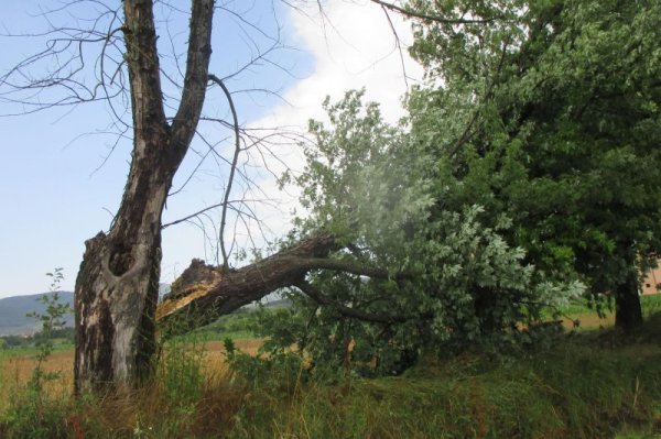 &nbsp;&nbsp;Снимка: Булфото