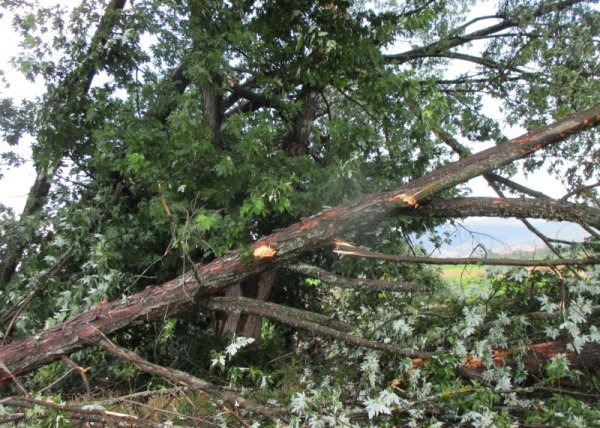 &nbsp;&nbsp;Снимка: Булфото