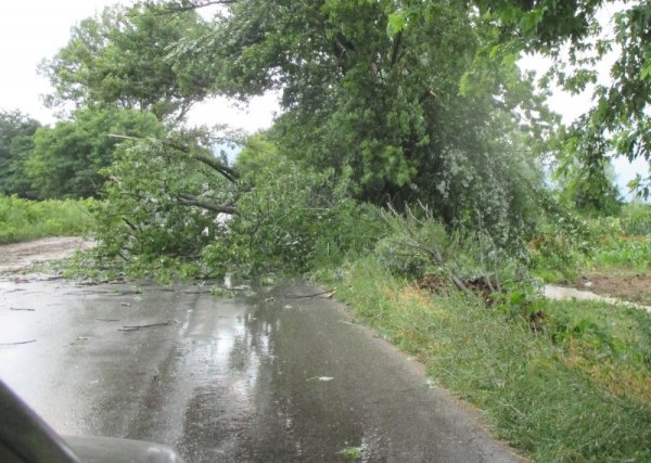 &nbsp;&nbsp;Снимка: Булфото