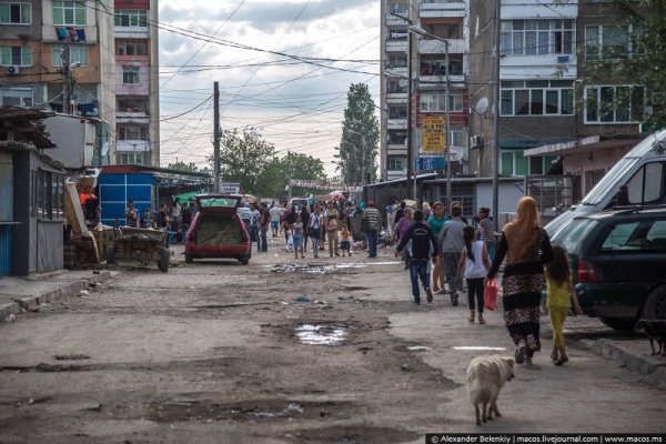 Снимка: Александър Беленский