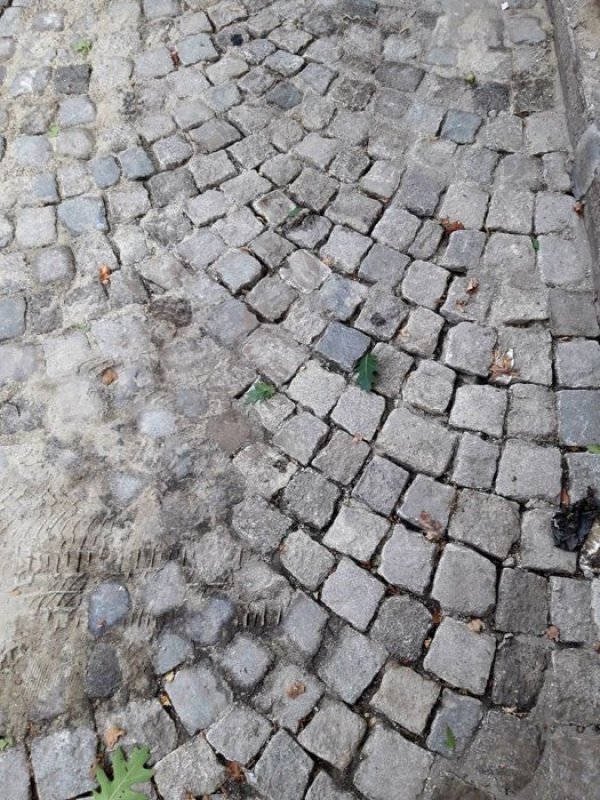 Снимка: "Спаси София"