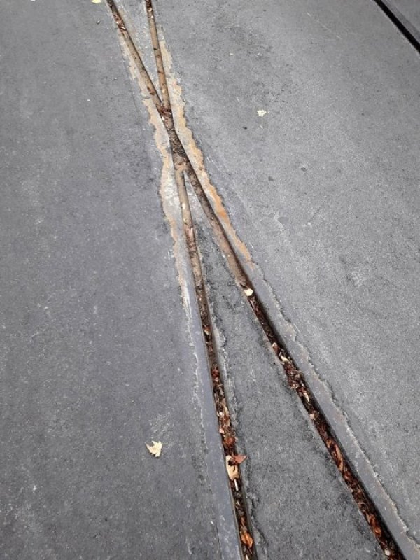 Снимка: "Спаси София"