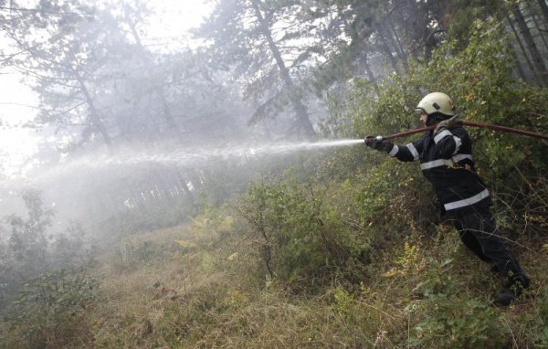 Снимка: Олег Попов, Dnes.bg