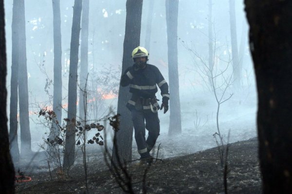 Снимка: Олег Попов, Dnes.bg