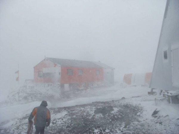 Снимка: Български антарктически институт