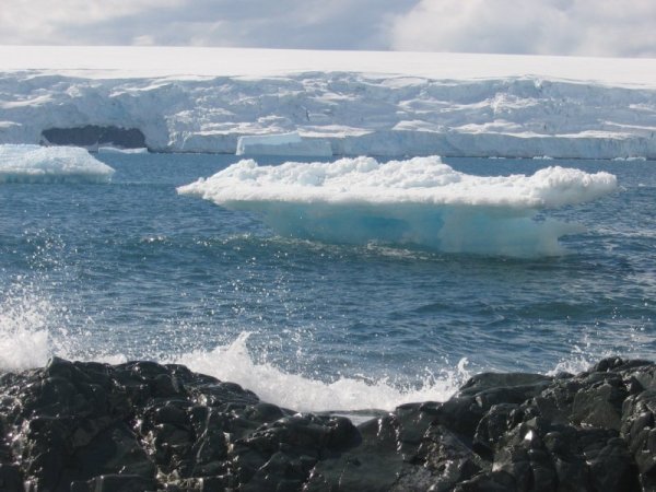Снимка: Български антарктически институт