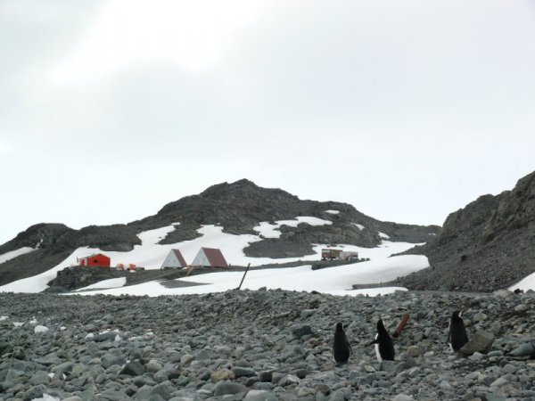 Снимка: Български антарктически институт