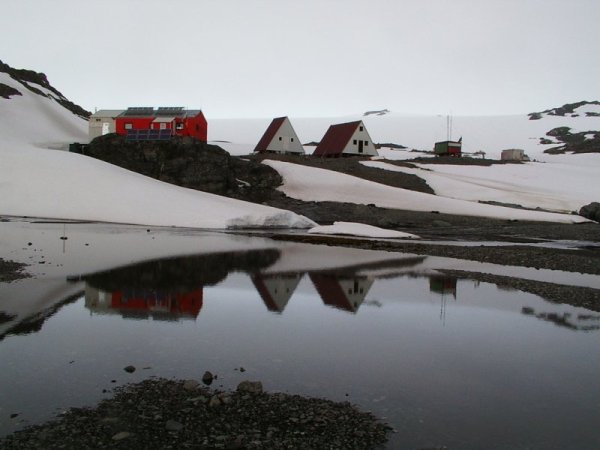 Снимка: Български антарктически институт