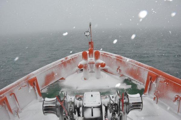 Снимка: Български антарктически институт