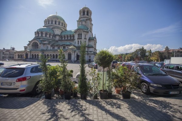 Снимка: Димитър Кьосемарлиев/Dnes.bg