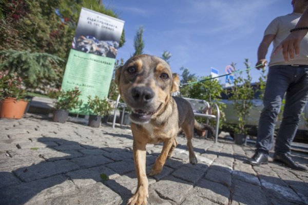 Снимка: Димитър Кьосемарлиев/Dnes.bg