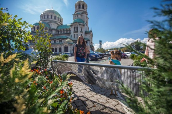 Снимка: Димитър Кьосемарлиев/Dnes.bg