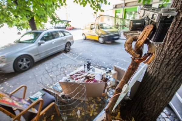 Снимка: Димитър Кьосемарлиев/Dnes.bg