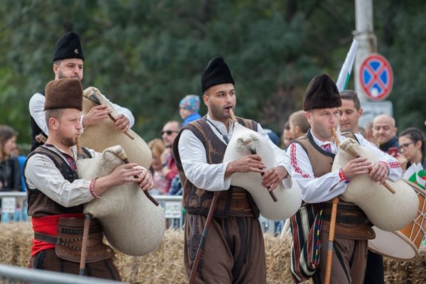 Снимка: Димитър Кьосемарлиев, Dnes.bg