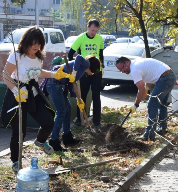Снимка: We Do Green