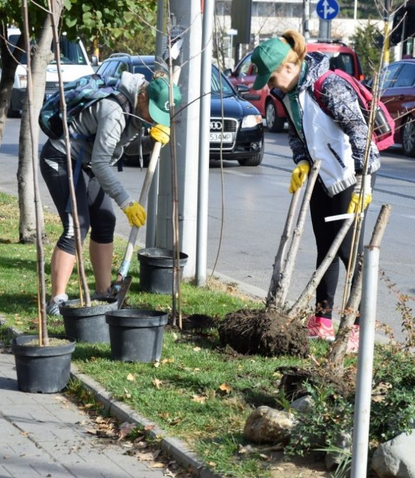 Снимка: We Do Green