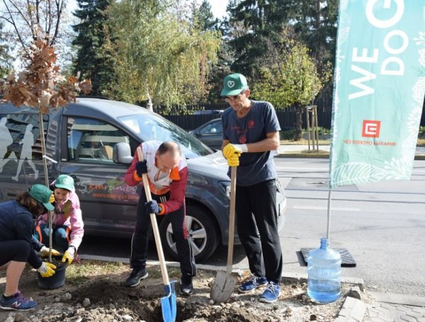 Снимка: We Do Green