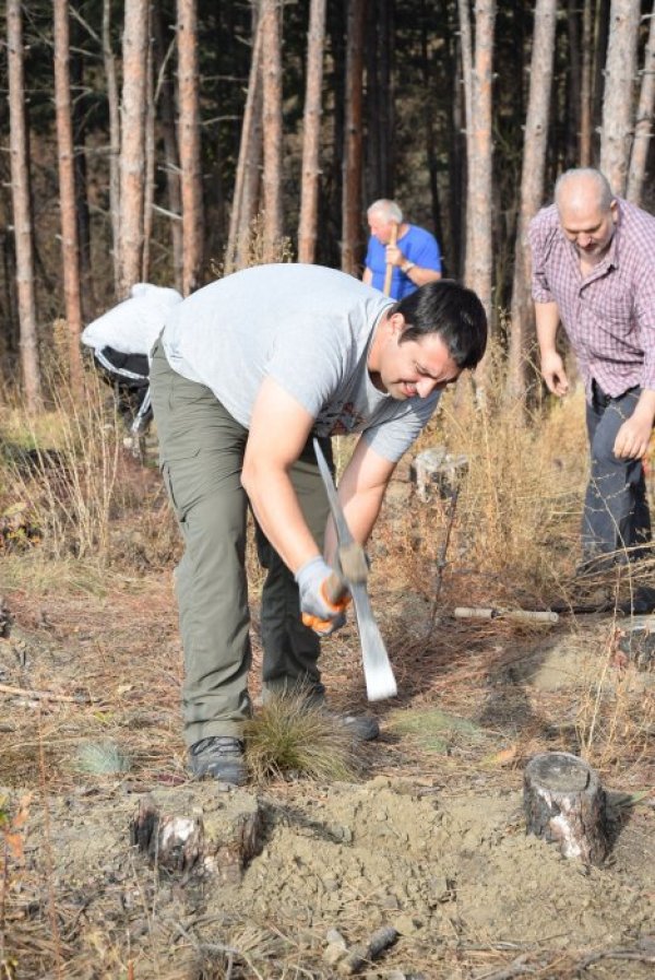 Снимка: ЧЕЗ Електро България
&nbsp;