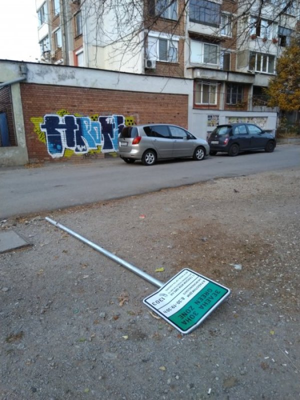 Снимка: Павел Гълъбов