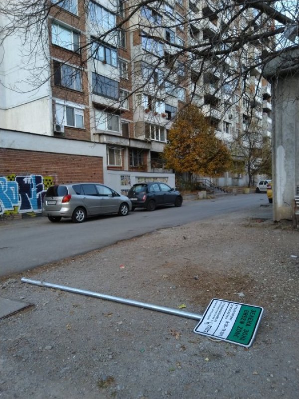 Снимка: Павел Гълъбов