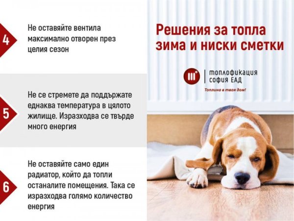 Снимка: "Топлофикация София"