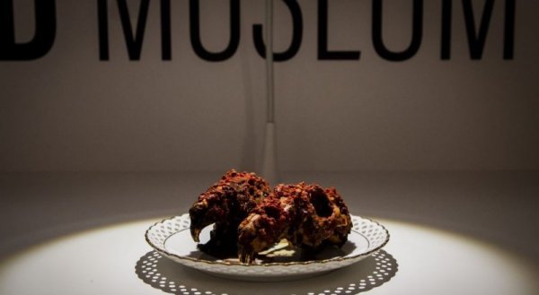 Пикантни заешки главички, Снимка: Disgusting Food Museum