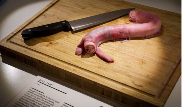 Пенис от бик, Снимка: Disgusting Food Museum
