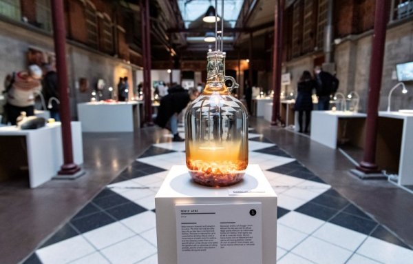 Китайско вино от ферментирали мишки, Снимка: Ройтерс