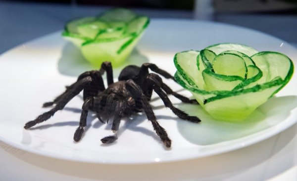 Панирана тарантула, Снимка: Ройтерс