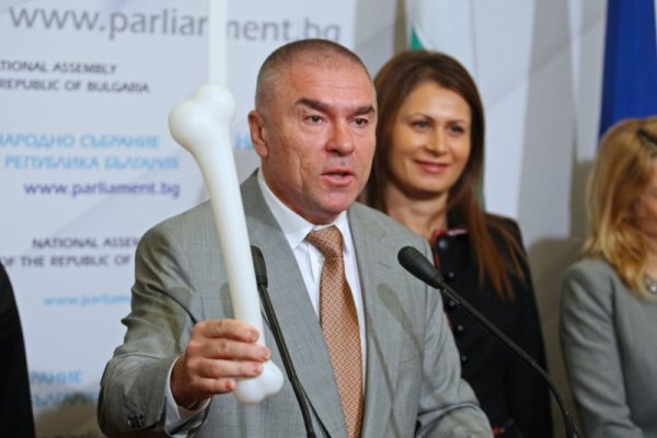 Снимка: Димитър Кьосемарлиев, Dnes.bg