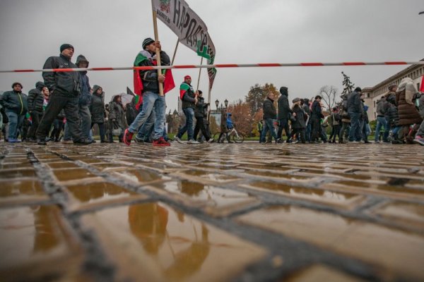 Снимка: Димитър Кьосемарлиев, Dnes.bg
