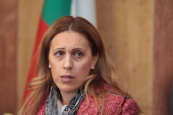 Снимка: Димитър Кьосемарлиев/Dnes.bg