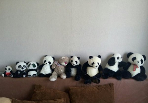 Снимка: kaifolog