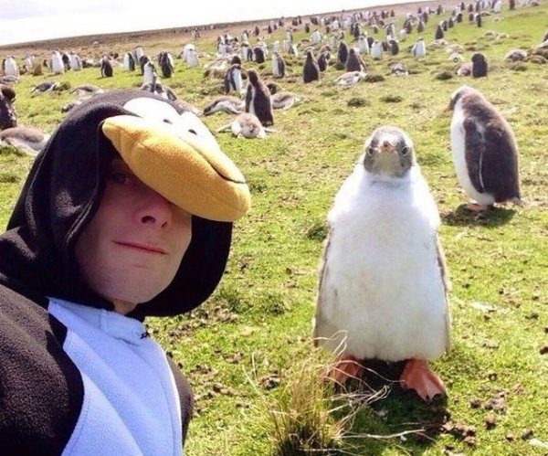 Снимка: kaifolog