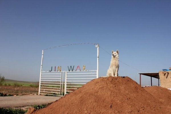 Снимка: jinwar.org