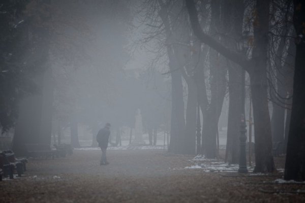 Снимка: Димитър Кьосемарлиев, Dnes.bg