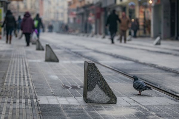 Снимка: Димитър Кьосемарлиев, Dnes.bg