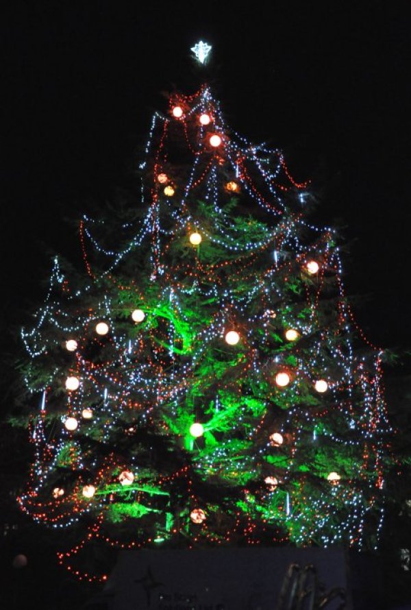 Димитровград. Снимка: БТА