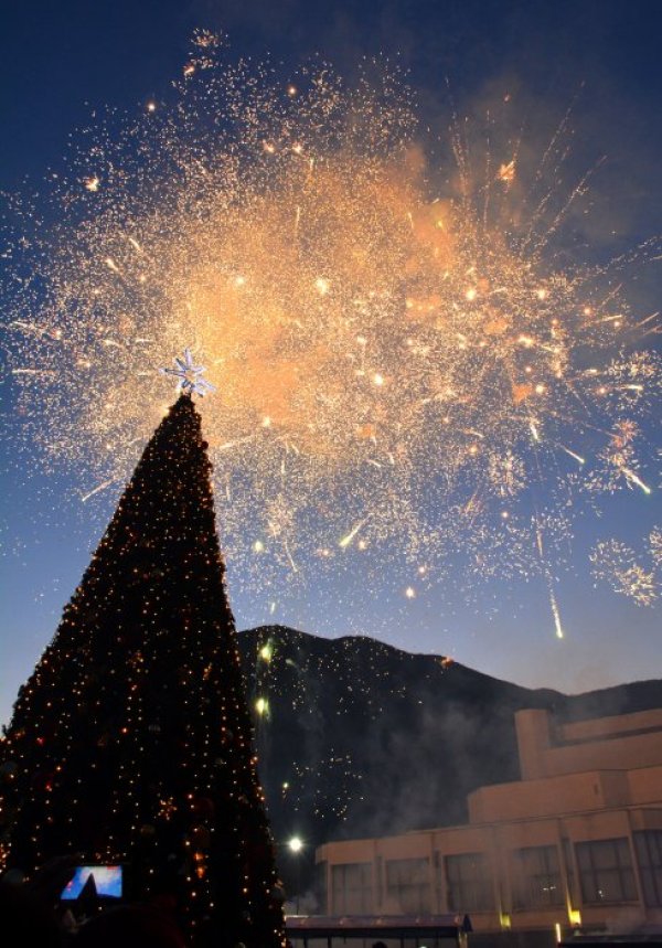 Враца. Снимка: БТА