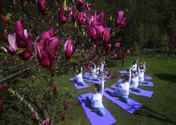 Жени правят йога упражнения сред цъфнали дръвчета в парк в китайската провинция Хънан. Снимка: БТА