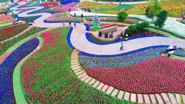 Туристи се разхождат сред градина с много цветя в китайската провинция Съчуан. Снимка: БТА
&nbsp;