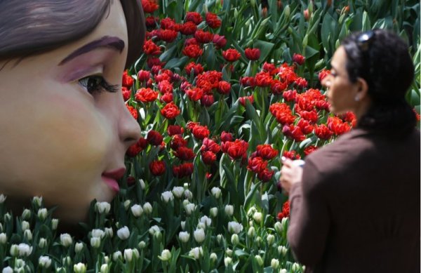 Туристи се радват на големи алеи с лалета в ботаническа градина в Сингапур. Снимка: БТА